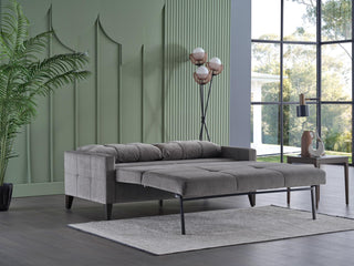 Ideal for small spaces, the Emmett Sleeper Sofa offers stylish seating and smart storage solutions.