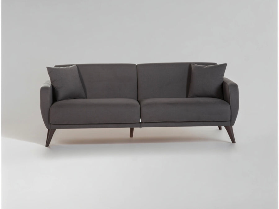 Modern style Functional Sofa In A Box with sleek design and one-tone fabric.