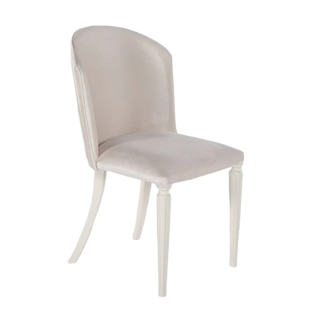 Gravita Modern Dining Chair Set of 2 with sleek design and sturdy support, perfect for adding elegance to your dining space.