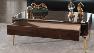 Experience bold elegance with the Plaza Coffee Table. Its stylish wood and metal design brings a touch of sophistication and practicality to your living space.