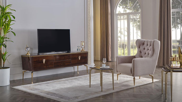 The Plaza TV Stand offers a chic and functional solution for your media needs. Its modern design and robust construction make it an ideal addition to any stylish living area.