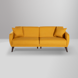 Compact sleeper sofa with built-in storage, ideal for modern spaces and easy assembly in tight areas.