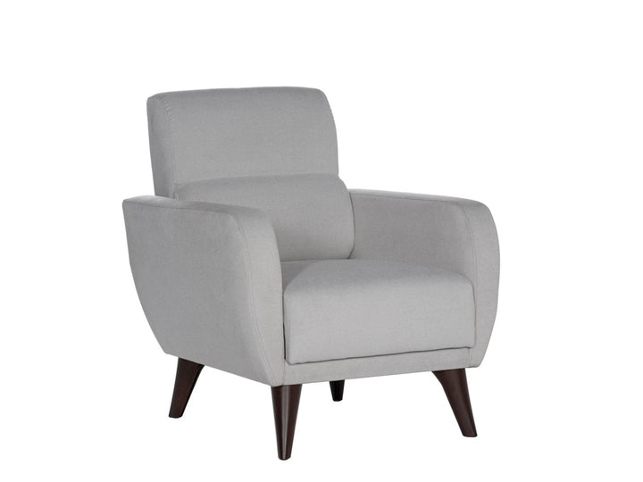 Elevate your living room with the Chair In A Box, a blend of modern style and comfort.