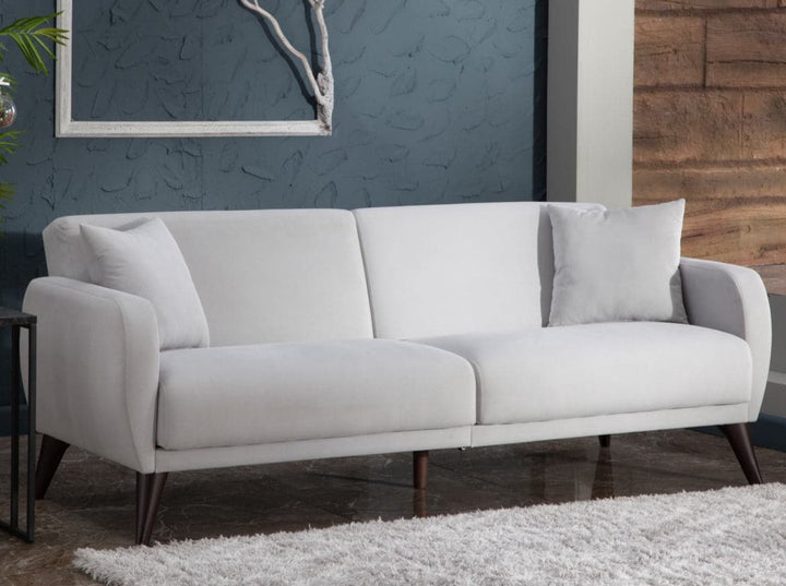 Light gray Functional Sofa In A Box featuring a convenient sleeper sofa function.