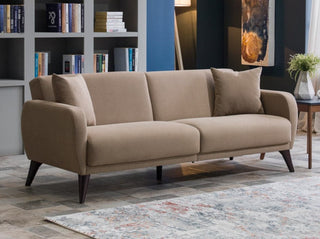 Light taupe Functional Sofa In A Box with a convenient sleeper sofa feature for versatile use.